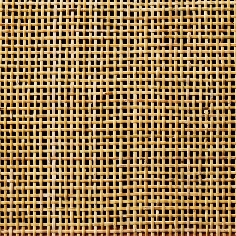 Springville Caned Door TV Stand for TVs up to 60" Black - Threshold™ designed with Studio McGee (LOCAL PICKUP ONLY)