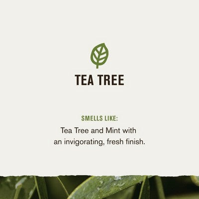 Every Man Jack 2-in-1 Shampoo + Conditioner - Tea Tree - 16 fl oz